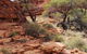 Kings Canyon Day Trip From Ayers Rock - thumb 24