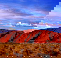 Uluru and Kata Tjuta Experience with BBQ Dinner - Accommodation Resorts