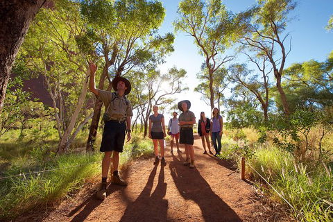 Uluru Small Group Tour Including Sunset - Accommodation Resorts 5