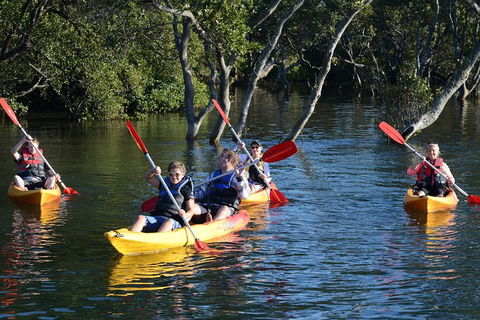 Kayak And SUP Guided Tours - Accommodation Resorts 0
