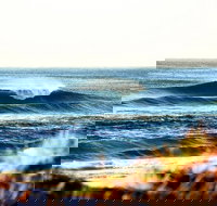 7-Day Byron Bay Evans Head and Moonee Beach Surf Safari from Brisbane Gold Coast or Byron Bay - Accommodation Resorts