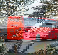 SkyBus Byron Bay Express - Accommodation Resorts