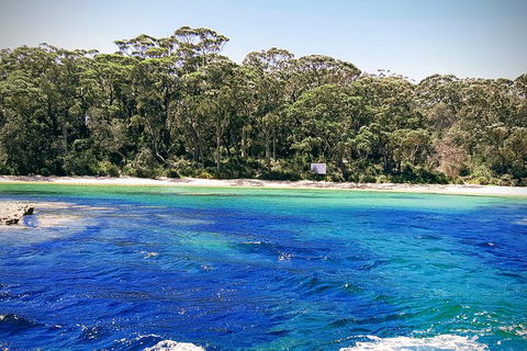 Jervis Bay Passage Tour - Accommodation Resorts 1