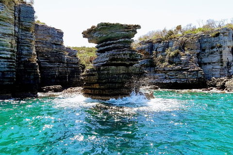 Jervis Bay Passage Tour - Accommodation Resorts 15