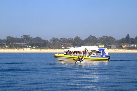 Jervis Bay Passage Tour - Accommodation Resorts 16