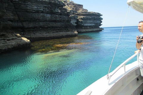 Jervis Bay Passage Tour - Accommodation Resorts 14