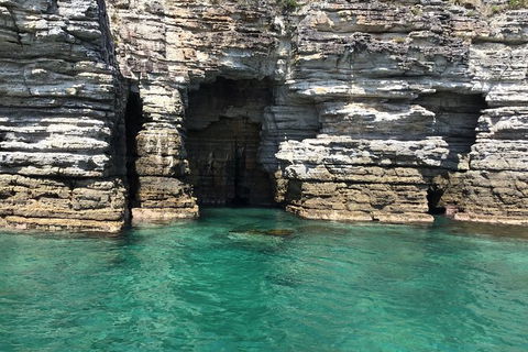 Jervis Bay Passage Tour - Accommodation Resorts 13