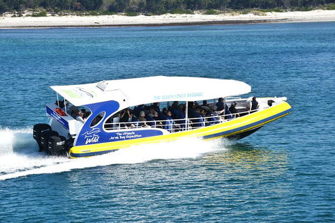 Jervis Bay Passage Tour - Accommodation Resorts 11