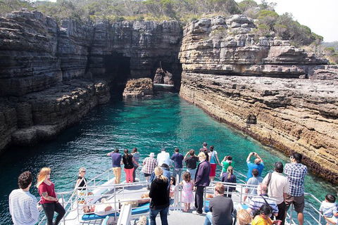 Jervis Bay Passage Tour - Accommodation Resorts 3