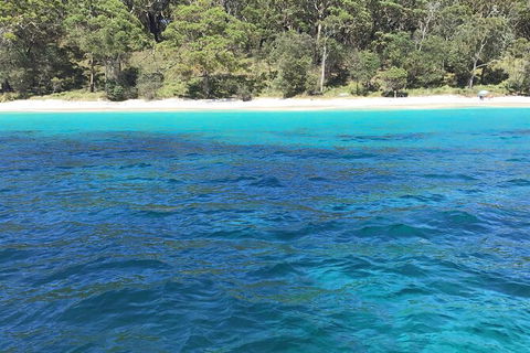 Jervis Bay Passage Tour - Accommodation Resorts 5