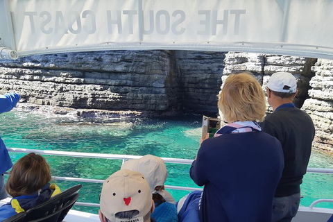Jervis Bay Passage Tour - Accommodation Resorts 7