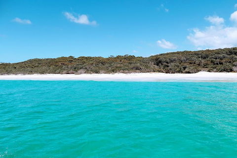 Jervis Bay Passage Tour - Accommodation Resorts 10