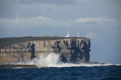 Jervis Bay Passage Tour - Accommodation Resorts 8