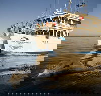 Jervis Bay Dolphin Watch Cruise - Accommodation Resorts