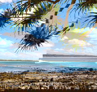Arrawarra-Corindi Beach - Accommodation Resorts