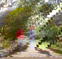 Arthurs Seat Circuit Walk - Accommodation Resorts