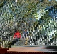 Arthur River - Accommodation Resorts