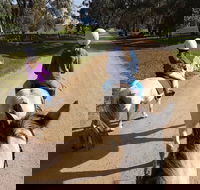 Bits and Boots Pony Rides - Accommodation Resorts