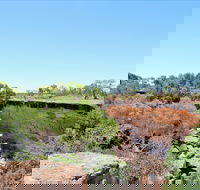 Bladensburg National Park - Accommodation Resorts