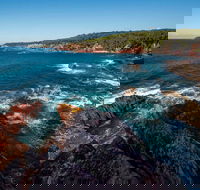 Boyds Tower to Saltwater Creek Walking Track - Accommodation Resorts