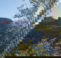 Canyon Picnic Area - Accommodation Resorts