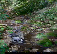 Cascades picnic area - Accommodation Resorts