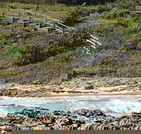 Dammerels History Walk - Accommodation Resorts