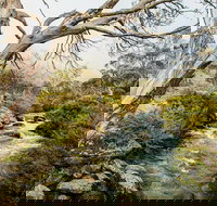 Dead Horse Gap walking track - Accommodation Resorts