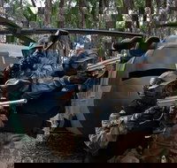 Delta Force Paintball Appin - Accommodation Resorts