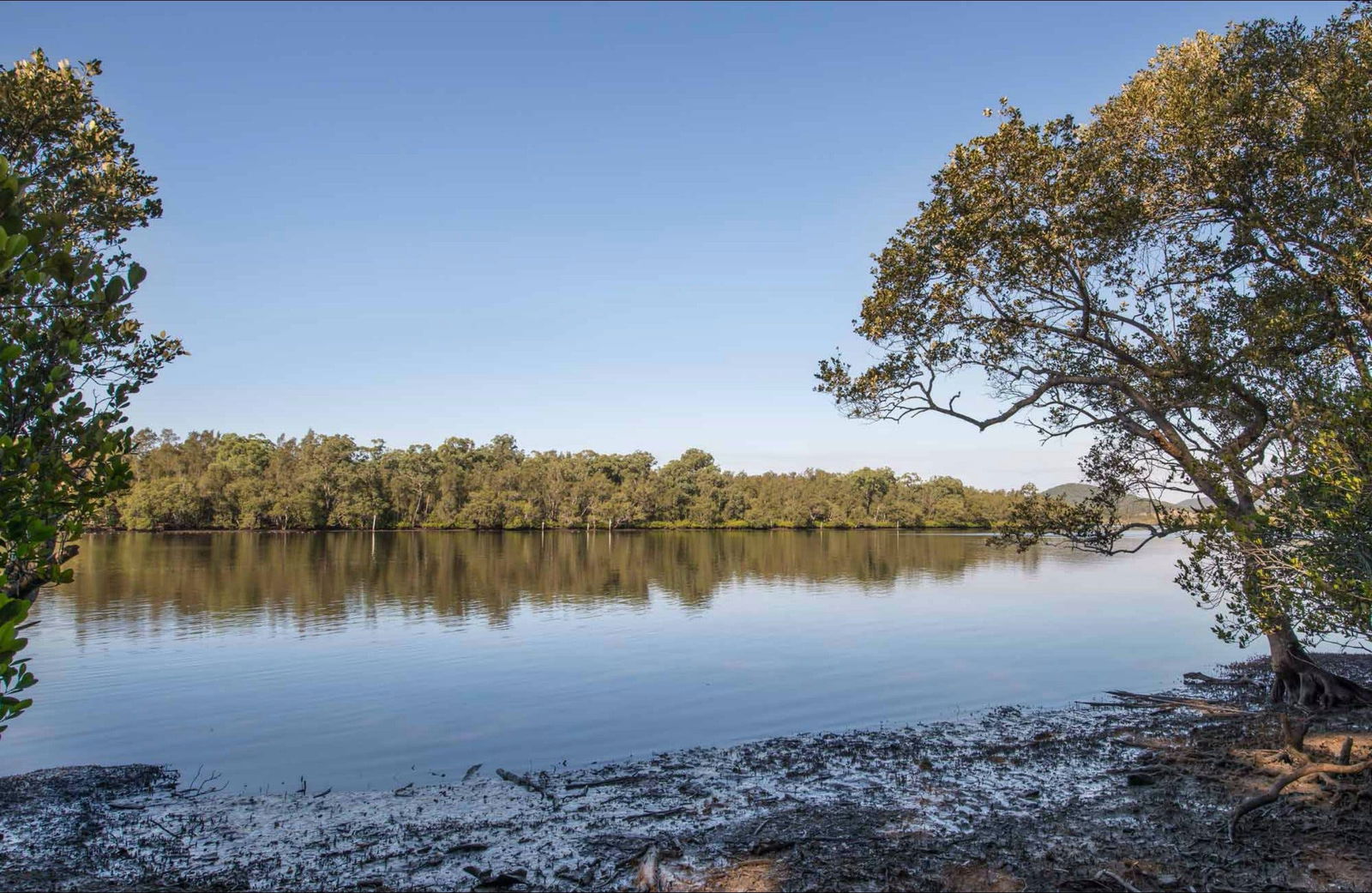 Limeburners Creek NSW Accommodation Resorts