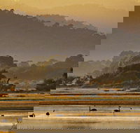 Greens Beach - Accommodation Resorts