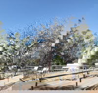 Gregory's Tree Timber Creek - Accommodation Resorts