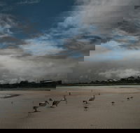 Hardwicke Bay - Accommodation Resorts