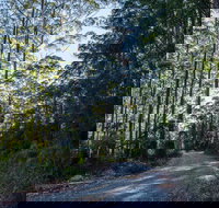 Hastings Forest Way Touring Route - Accommodation Resorts