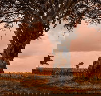 Hynam - Accommodation Resorts