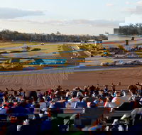 Ipswich Motorsport Precinct - Accommodation Resorts
