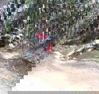Jolly Nose Mountain Bike Park - Accommodation Resorts