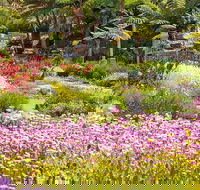 Jurassic Garden AR Experience - Accommodation Resorts