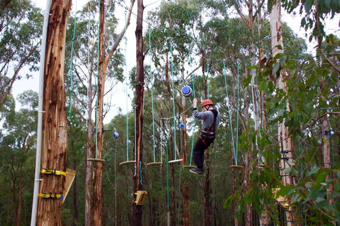 Kinglake Forest Adventures - Accommodation Resorts 0