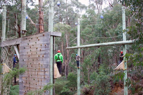 Kinglake Forest Adventures - Accommodation Resorts 1