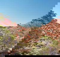 Lark Quarry Conservation Park - Accommodation Resorts