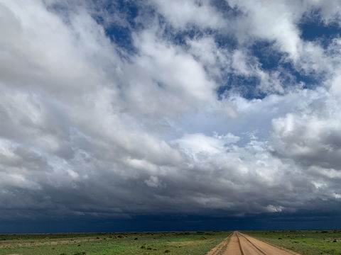 Long Paddock - Cobb Highway Touring Route - Accommodation Resorts 1