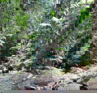 Lyrebird track - Accommodation Resorts