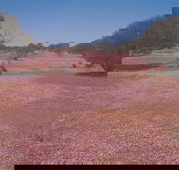 Meekatharra - Accommodation Resorts