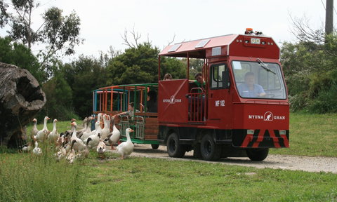 Myuna Farm - Accommodation Resorts 2