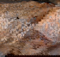 Ngamadjidj Shelter - Wartook Valley - Accommodation Resorts