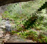 Old Great North Road Bike Ride - Accommodation Resorts