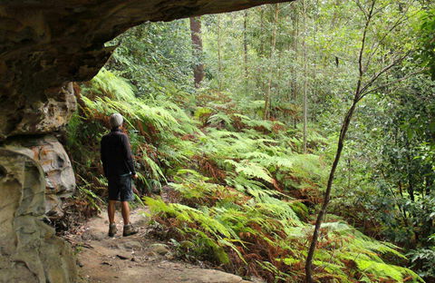 Old Great North Road Bike Ride - Accommodation Resorts 0