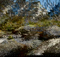 Pallaibo walking track - Accommodation Resorts