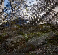 Pheasants Peak Walking Track - Accommodation Resorts